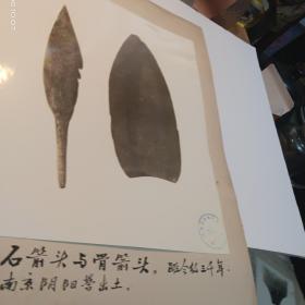 六十年代照片一张 石箭头与骨箭头 无锡师范（历史研究组）宣传展览39X34厘米（内29X25厘米）九五品A医上区