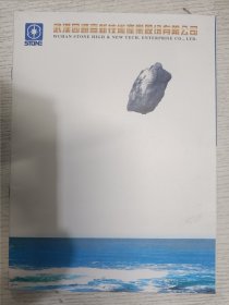 武汉四通高新技术产业股份有限公司