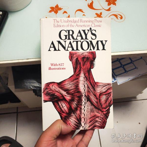 Gray's Anatomy