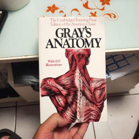 Gray's Anatomy 格氏解剖学