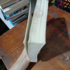 巴黎圣母院 时代文艺出版社