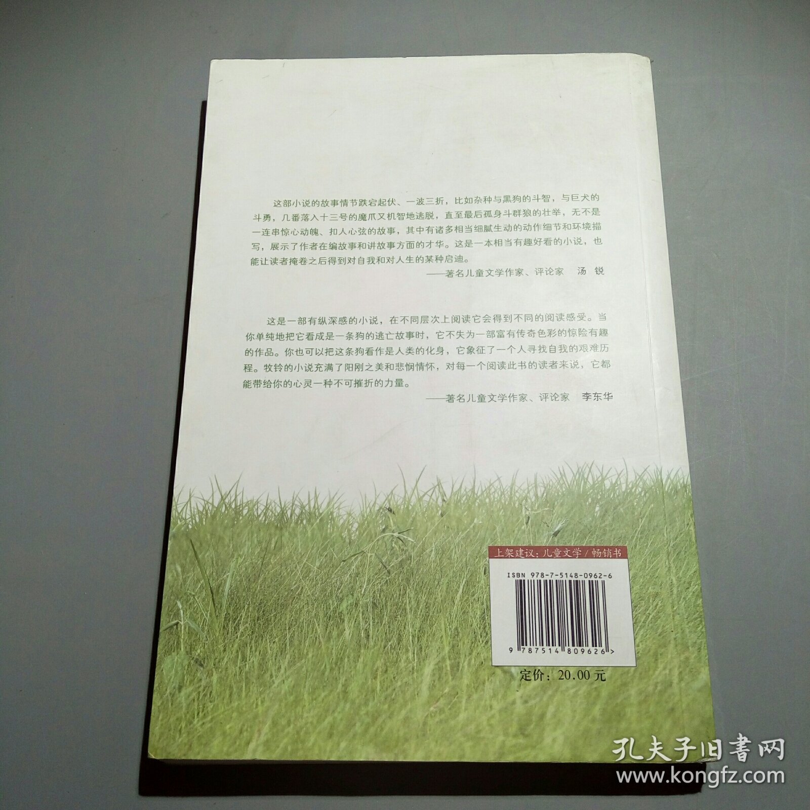 儿童文学金牌作家书系 牧铃“艰难的归程”系列-艰难的归程（修订版）