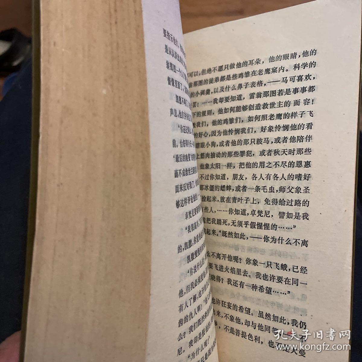 诸神复活（全二册）：雷翁那图·达·芬奇传（上）老版