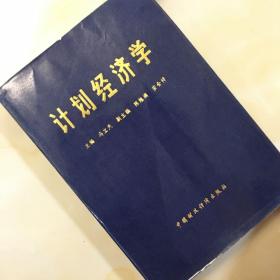 计划经济学