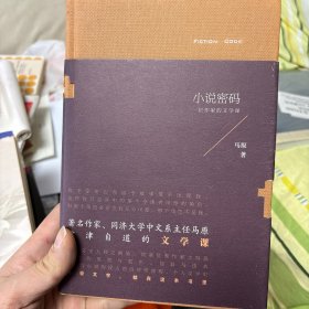 小说密码（自然旧）