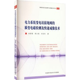 电力系统变电站接地网的瞬变电磁检测及快速成像技术