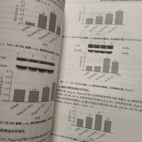 pm2.5健康危害分子机制研究