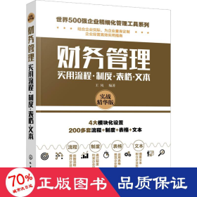 世界500强企业精细化管理工具系列--财务管理实用流程·制度·表格·文本