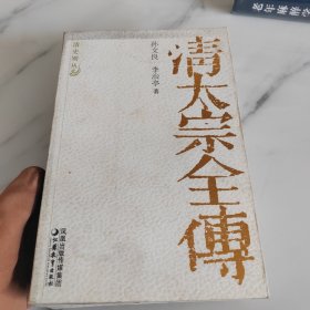 清太宗全传