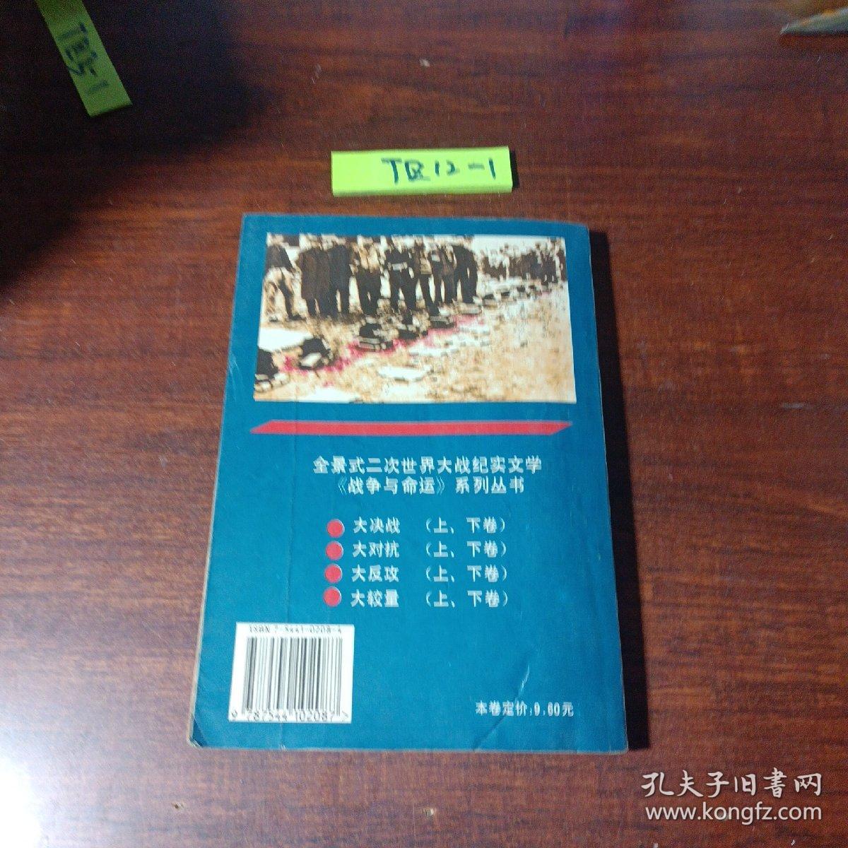 战争与命运.大对抗下卷