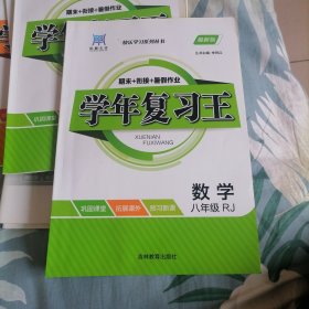 正版全新学年复习王 八升九数学人教版