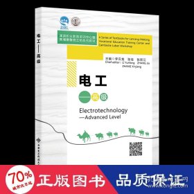 Electrotechnology—Advanced Level（电工——高级）