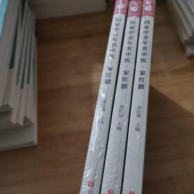 国家中青年名中医 宋红旗