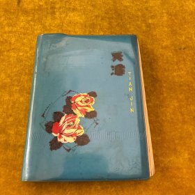 天津牌日记本（里面记录的是下放日记）