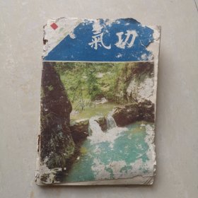 《气功》杂志，1984年