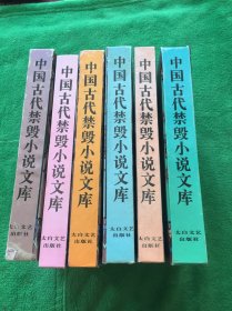 中国古代禁毁小说文库 6本和售