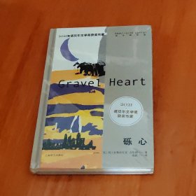 砾心（精装）