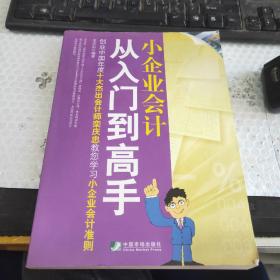 小企业会计从入门到高手