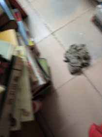 百花周刊1147期期