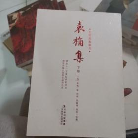 元代别集丛刊：袁桷集（下册）库存书