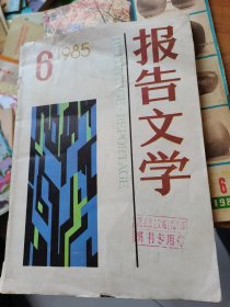 报告文学1985年第6期