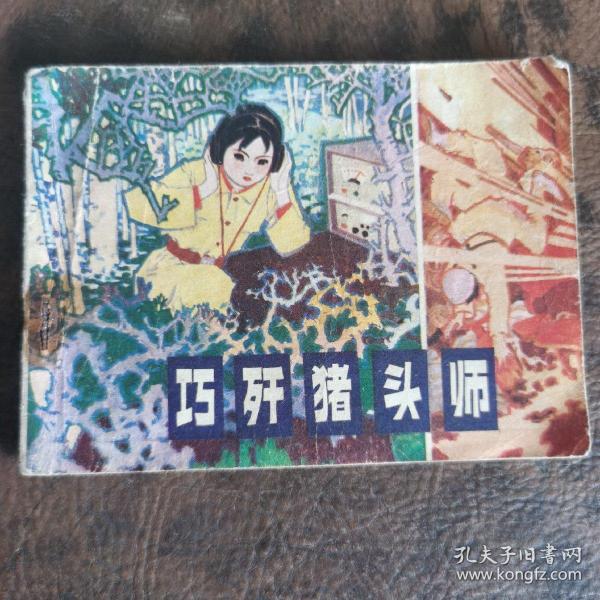 巧歼猪头师