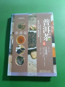 普洱茶品鉴