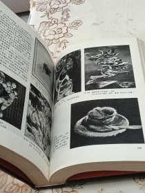 西方现代艺术史