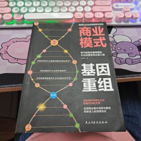 商业模式基因重组:让企业跳跃式增长的运营思考必备工具