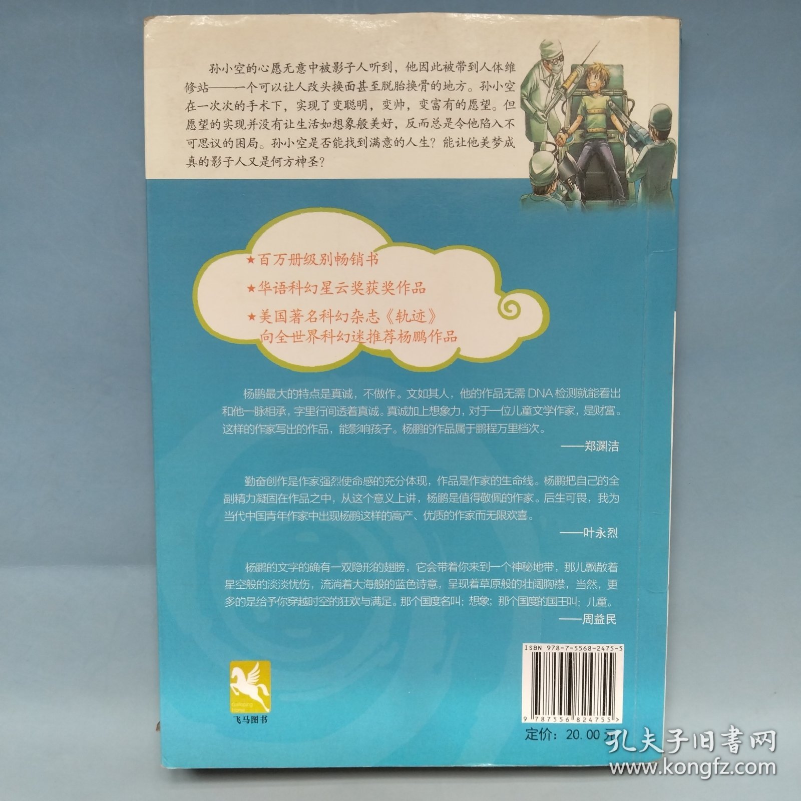 模拟人生/杨鹏幻想小说幻想大王奇遇记9