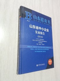 山东蓝皮书：山东省中小企业发展报告（2019）