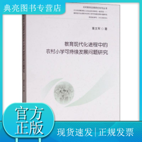 教育现代化进程中的农村小学可持续发展问题研究