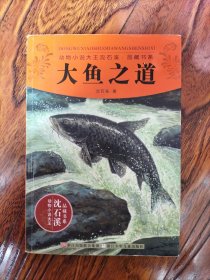 动物小说大王沈石溪·品藏书系：大鱼之道