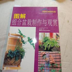 图解组合盆栽制作与观赏