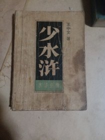 少水浒(下册)