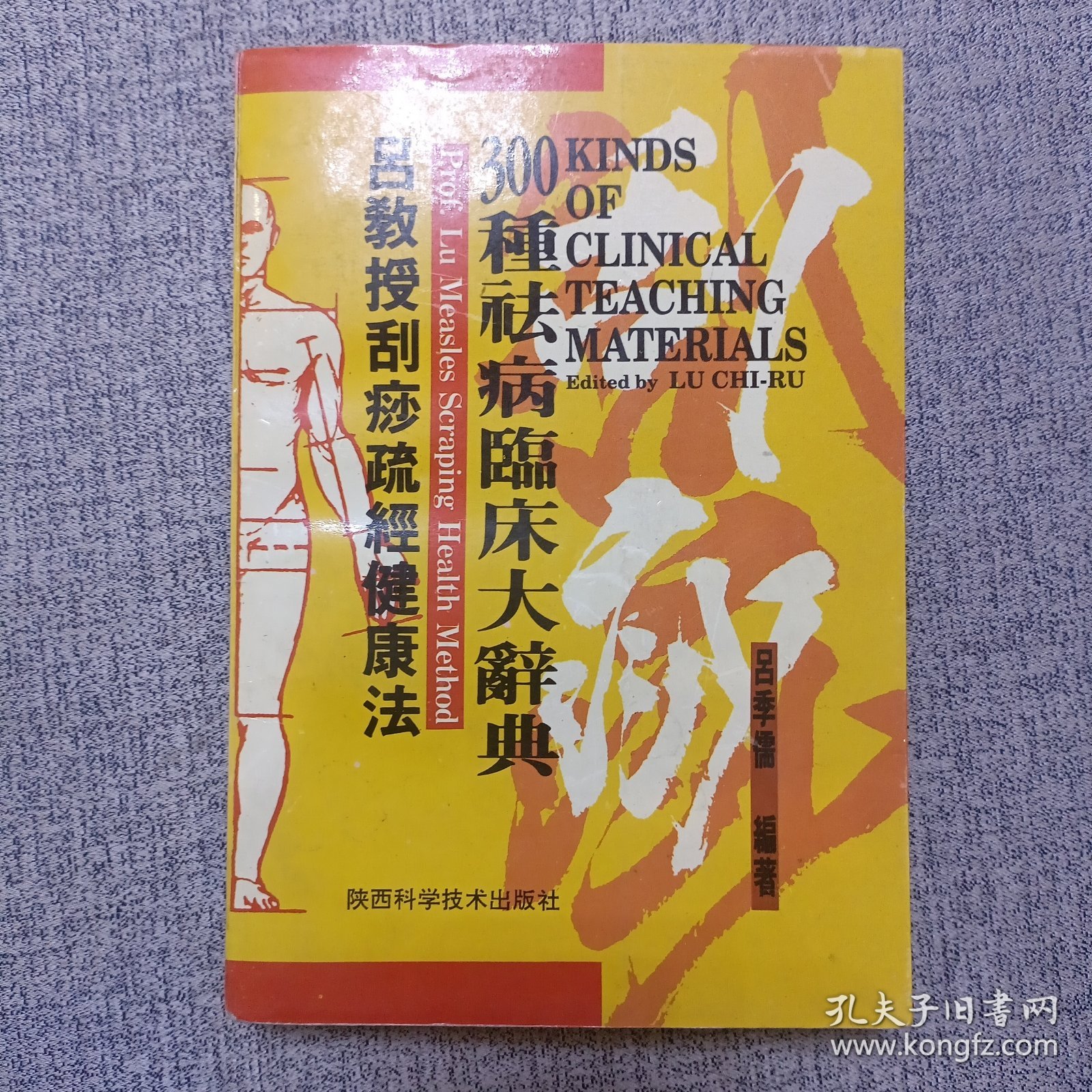 吕教授刮痧疏经健康法——300种祛病临床大辞典