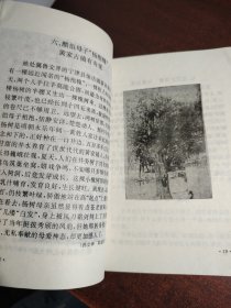 中国宁津蟋蟀志