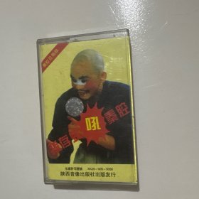 孙存蝶吼秦腔 磁带