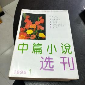 中篇小说选刊    1995年1-6期合售    包快递费