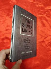 The Silver Lining: An Innovation Playbook for Uncertain Times