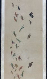 (字画议价) 百虫图长卷 绢画 整体517*45.5cm 画心289*39cm