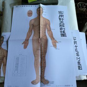 实用针灸解剖挂图图1人体前面体表穴位（12张）