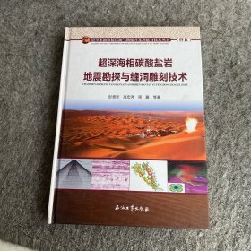 超深海相碳酸盐岩地震勘探与缝洞雕刻技术
