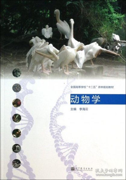 动物学(全国高等学校十二五农林规划教材)李海云