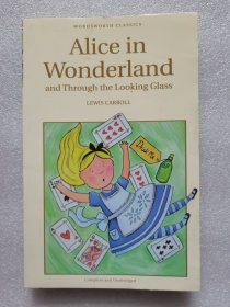 Alice in Wonderland and Through the Looking Glass 实拍图