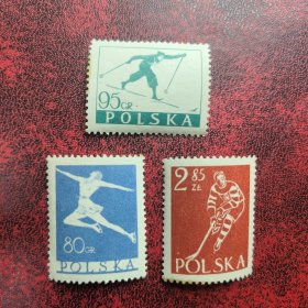 Y315波兰1953年邮票 冬季运动 体育体操滑雪冰球 新 3全 品相如图 三枚边齿有污，软痕等
