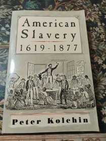 美国的奴役 AMERICAN SLAVERY 1619-1877年