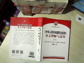 中华人民共和国民法总则 条文理解与适用（套装上下册）