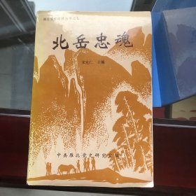 北岳忠魂—雁北党史资料丛书之七