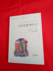 文学在思考什么